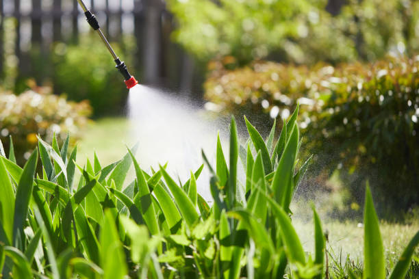 Tamper-Resistant Bait Stations for Rodents in Hewlett